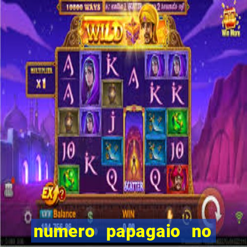 numero papagaio no jogo do bicho